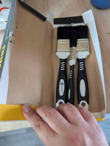 Photo of free Nicholas Jack Paint Brushes (Bracknell RG12) #1
