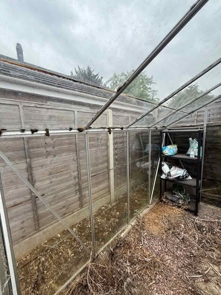 Photo of free Green House (Collingtree NN4) #2