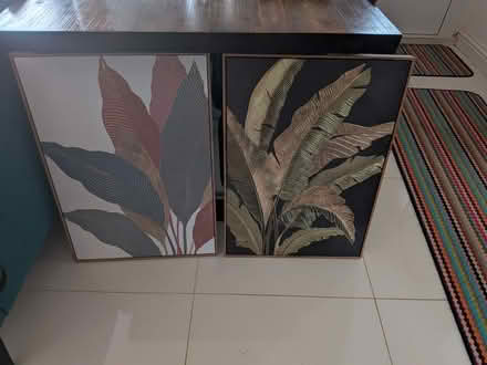 Photo of free Canvas (Ox14 1he) #2