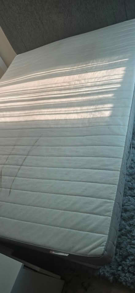 Photo of free Double Bed + matress +headboard (Enfield N18) #2