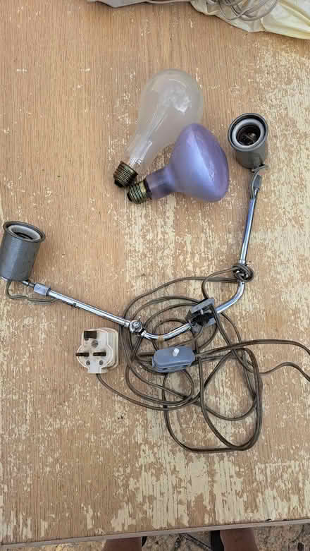 Photo of free Photography lamp holder and bulbs (Hatfield AL10) #1