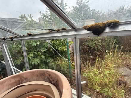 Photo of free Green House (Collingtree NN4) #4