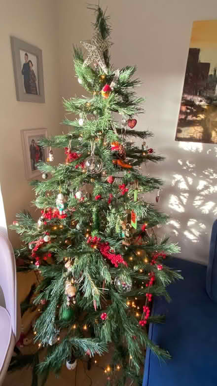 Photo of free 6ft xmas tree (without decorations) (Woodlands TW7) #1