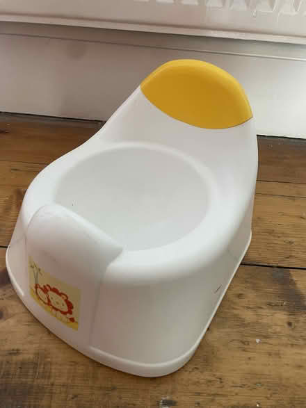 Photo of free Potty (Bristol BS5) #1