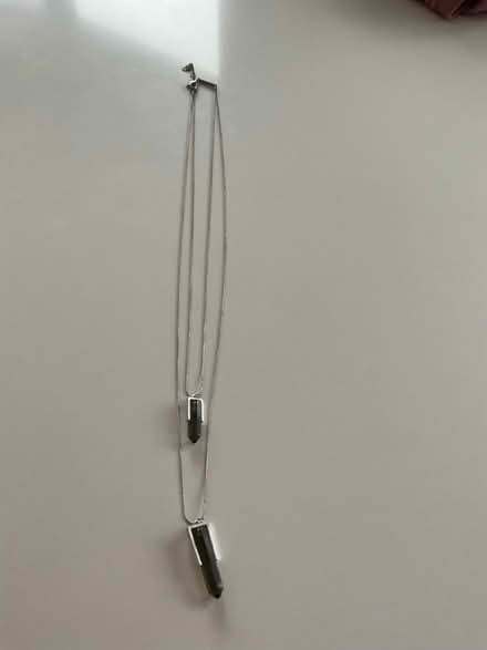 Photo of free Mint Velvet pendant & chain (Covingham SN3) #1