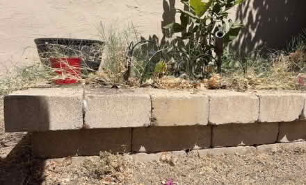 Photo of free Roman / Landscape Blocks — You Haul (West San Jose) #3