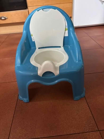 Photo of free Potty (Summertown OX2) #2