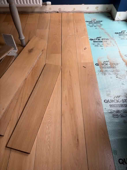 Photo of free 22mm engineered wood floor (Carlisle CA3) #1