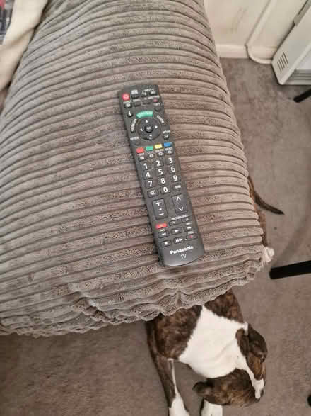 Photo of free Tv (Fleet GU51) #2