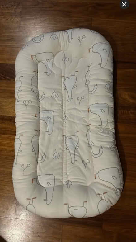 Photo of free Baby nest (Birmingham B16) #1