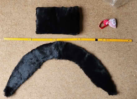 Photo of free Real fur muff and collar (Vicars Cross CH3) #1