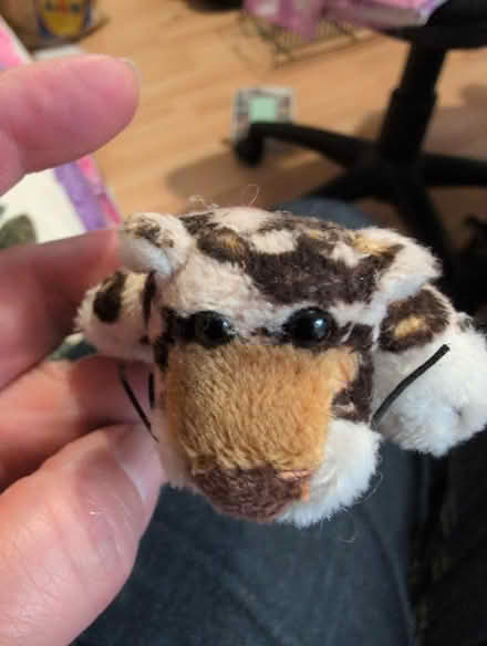 Photo of free Leopard bookmark. (Alperton HA0) #1