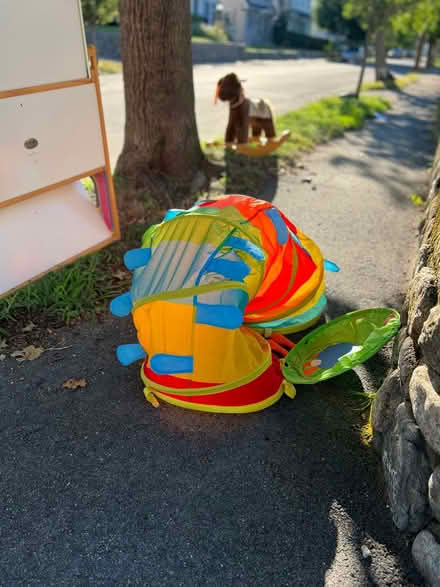 Photo of free Rocking horse, dollhouse, tunnel (Watertown, Lowell School area) #3