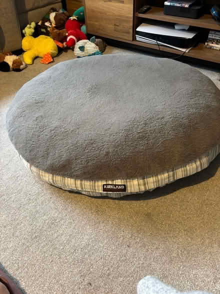 Photo of free Kirkland Large Dog Bed (KT9) #2