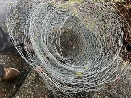 Photo of free Chicken wire (Wedgwood) #2