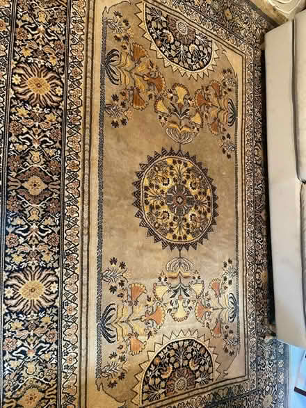 Photo of free Large Rug (7 dials BN1) #1