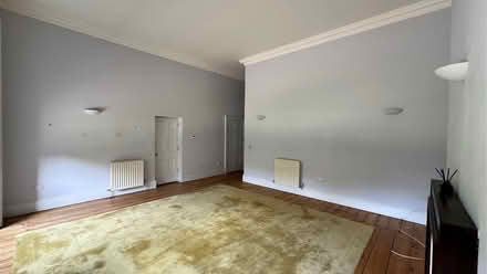 Photo of free Large rug (Gosport PO12) #3
