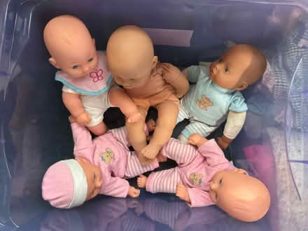 Photo of free Dolls (Sidley TN40) #1