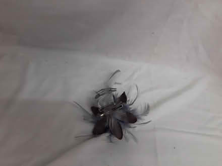 Photo of free Small Fascinators (Blackrock) #1