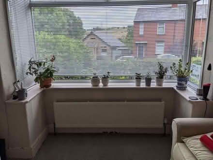 Photo of free White Venetian blinds for box bay window (Low Leighton SK22) #1
