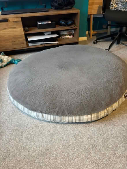 Photo of free Kirkland Large Dog Bed (KT9) #1