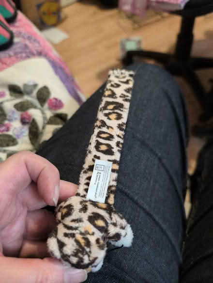 Photo of free Leopard bookmark. (Alperton HA0) #2