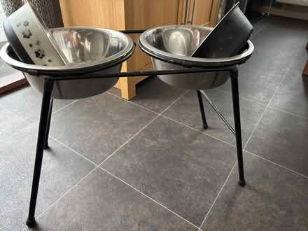 Photo of free Tall dog feeder (Morecambe LA3) #1