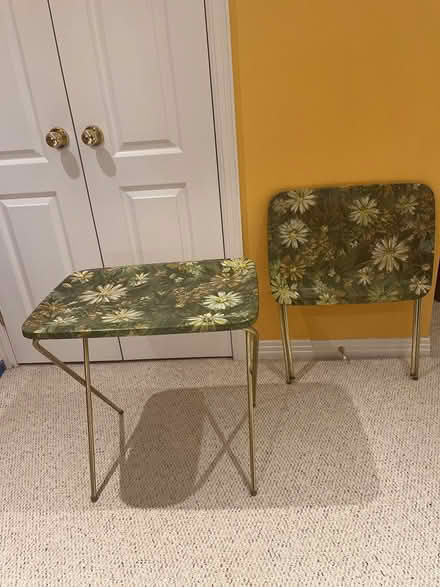 Photo of free TV trays - 2 (Chapel Hill South) #2