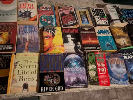 Photo of free 30+ books fiction (Withdean BN1) #3