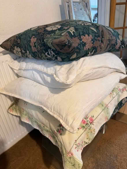 Photo of free Large assorted cushions (Dagenham RM9) #1