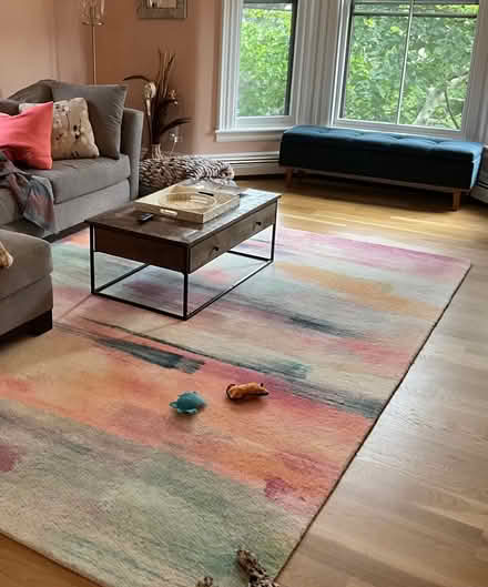 Photo of free Large West Elm Carpet (Arlington, MA) #3