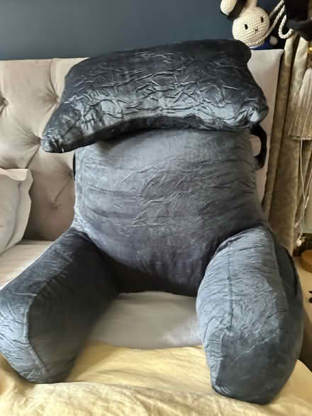 Photo of free Reading Pillow (Birmingham B16) #1