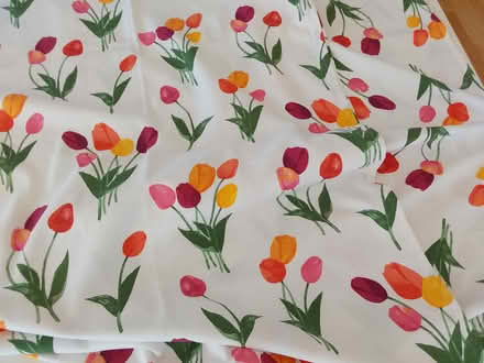 Photo of free Rectangular Table Cloth (K2A 0G7) #1