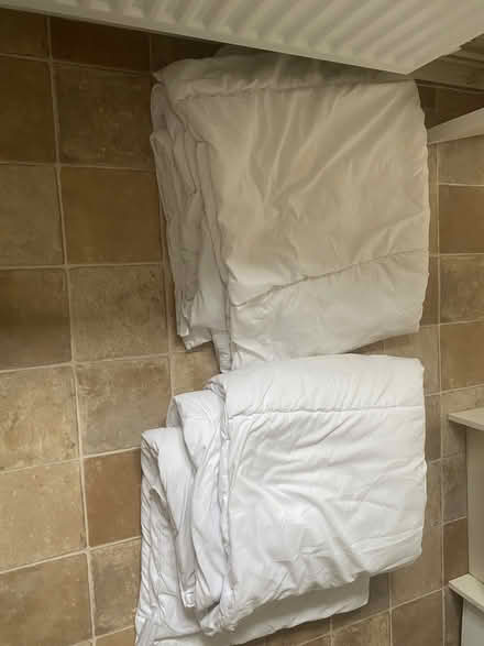 Photo of free Two Single Quilts & One Double, Will Split (Kidlington OX5) #1