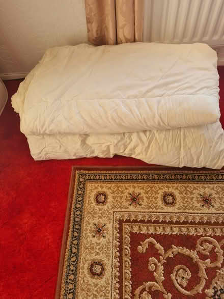 Photo of free Duvets (Guisborough TS14) #1