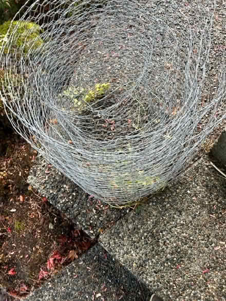 Photo of free Chicken wire (Wedgwood) #1