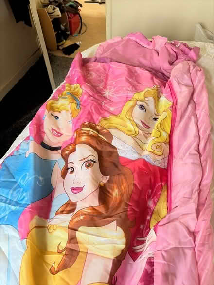 Photo of free Inflatable princess air bed (Ilkley LS29) #1