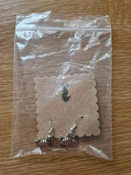 Photo of free Crab earrings (CR7 Thornton Heath) #1