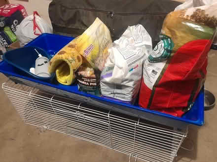 Photo of free Guinea Pig cage and accessories (SCV Sheriff station) #1