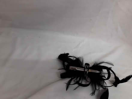 Photo of free Small Fascinators (Blackrock) #3