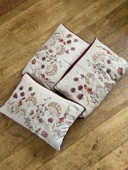 Photo of free 3 feather pillows (Gobowen SY11) #1