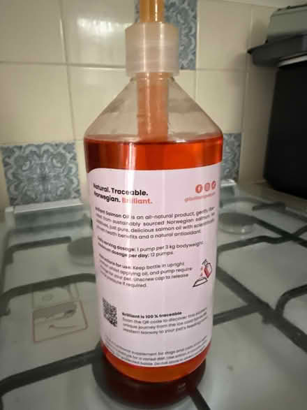 Photo of free Salmon oil for pets (Leicester LE2) #2