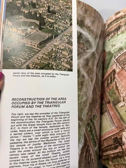 Photo of free Book on Pompeii (Westbury Wilts BA13) #3
