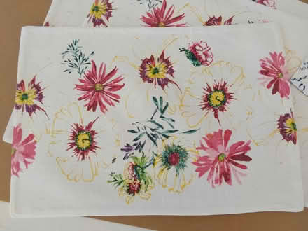 Photo of free 2 sets of Placemats (K2A 0G7) #2