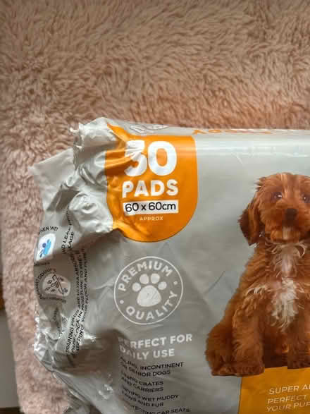 Photo of free Puppy Training Pads (Warminster BA12) #2