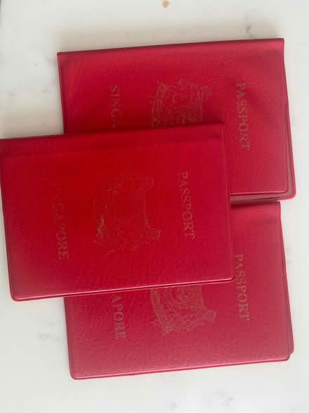 Photo of free Passport covers : protectors (Totham Hill CM9) #1
