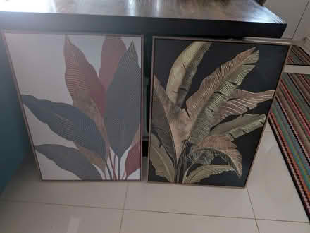 Photo of free Canvas (Ox14 1he) #1