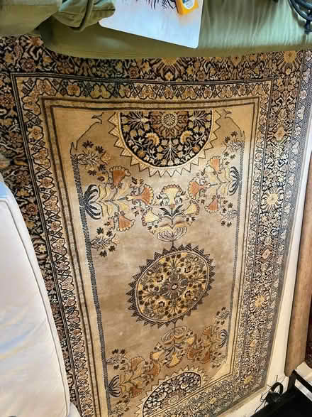Photo of free Large Rug (7 dials BN1) #2