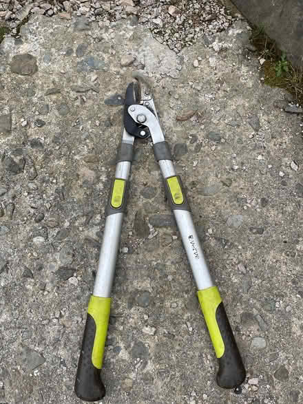 Photo of free Pruners (Windermere LA23) #2