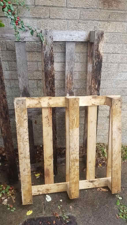 Photo of free Pallets (Norham Manor OX2) #1